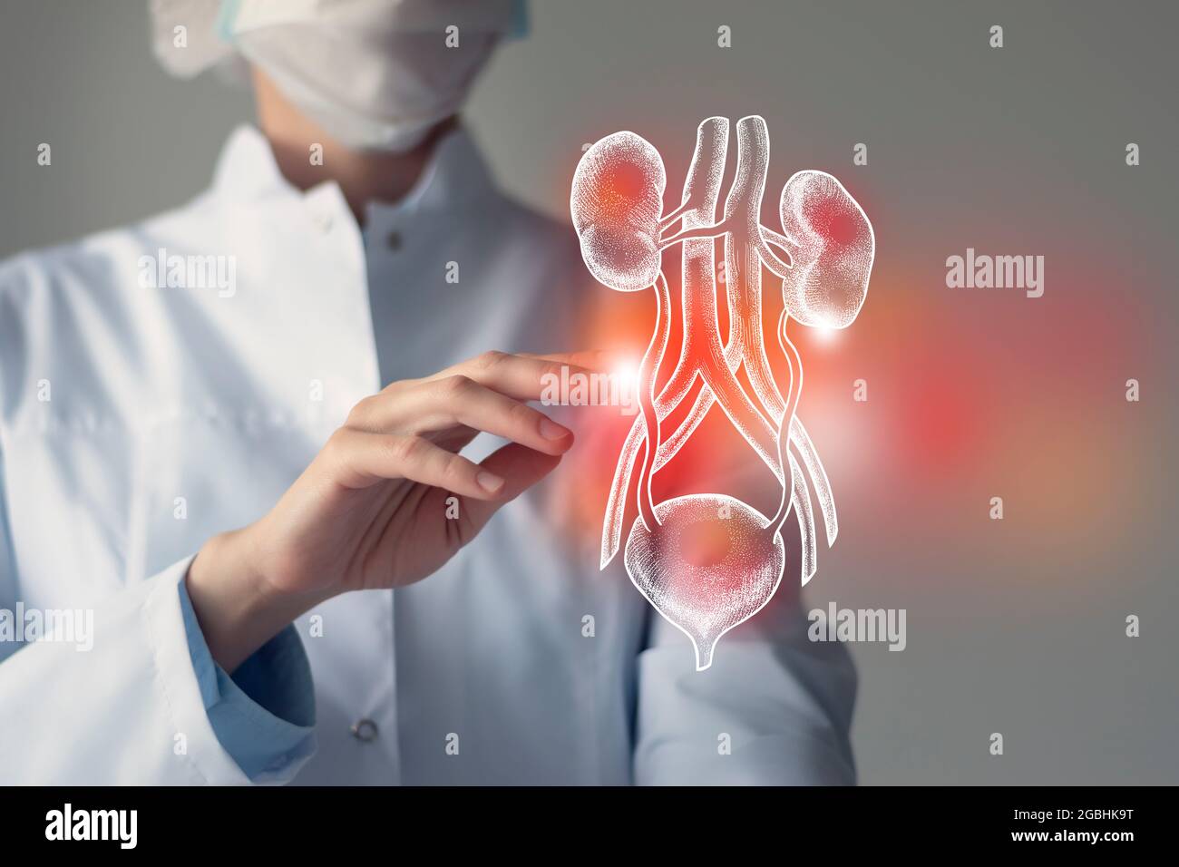 Female doctor touches virtual Bladder and Kidneys in hand. Blurred photo, handrawn human organ, highlighted red as symbol of disease. Healthcare hospi Stock Photo