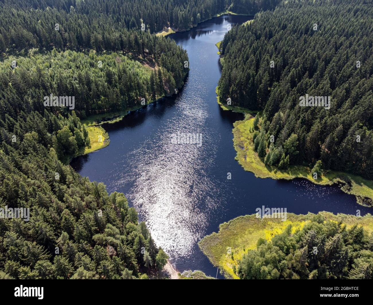 View over the nature park at the Vogtlandsee Stock Photo