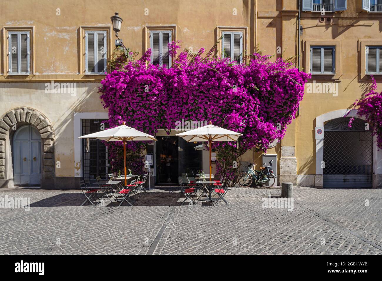 Bougainvillea flowers in bloom around a facade of house in Rome old town, Italy Stock Photo