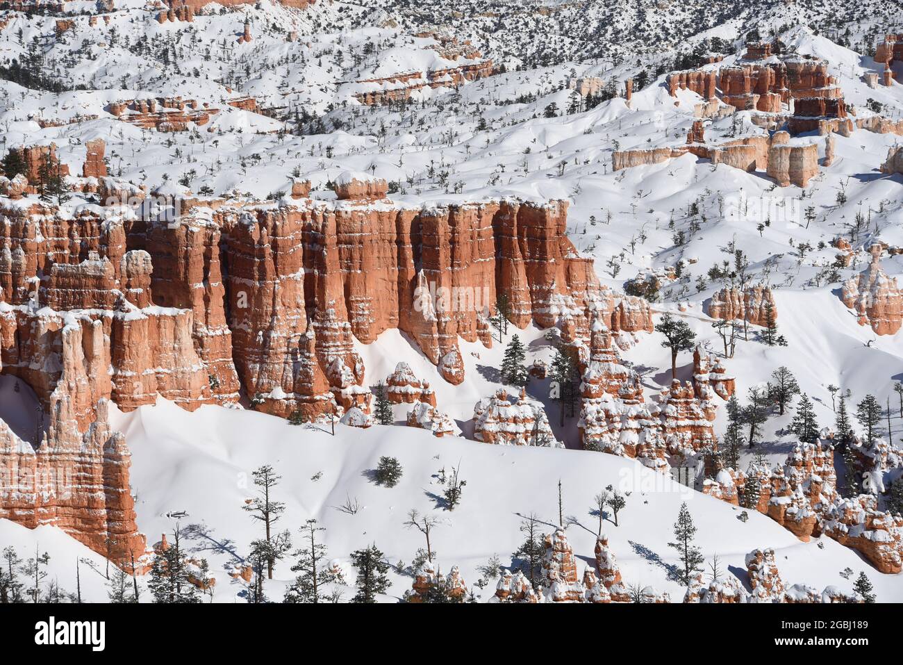 Panorama of snow covered red Hoodoos in the Winter wonderland of Bryce Canyon National Park, Utah, USA.  Note the large, full frame format. Stock Photo
