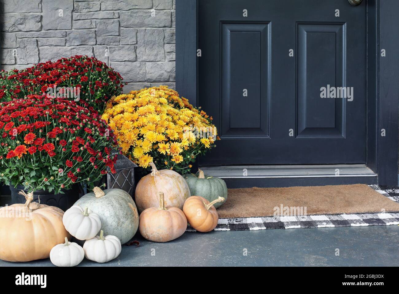 Heirloom white, orange and grey pumpkins with colorful mums sitting by ...
