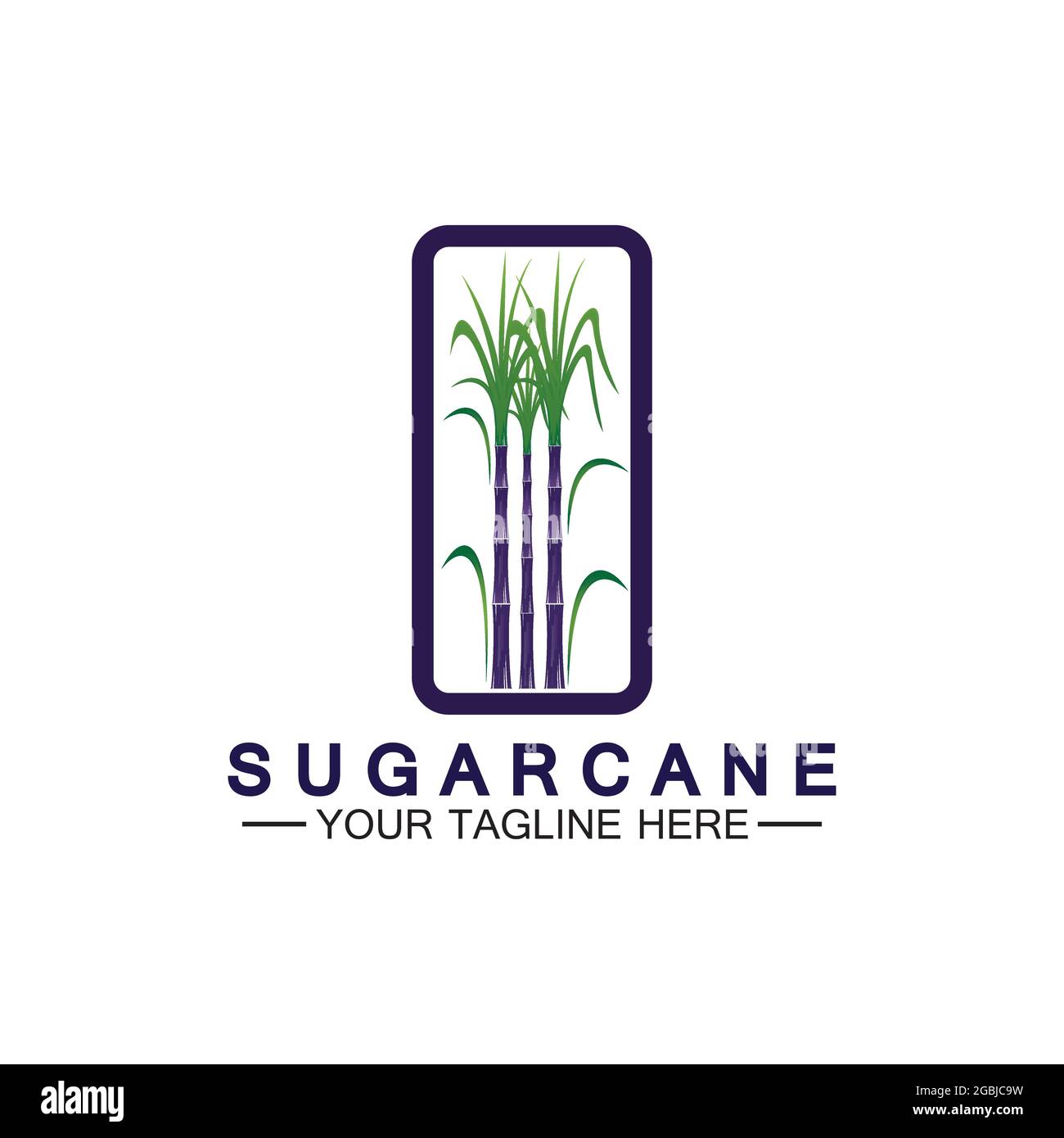 Sugar cane logo icon symbol vector illustration design template Stock