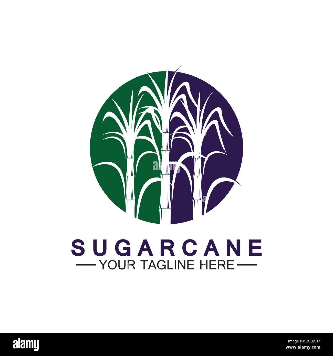 Sugar cane logo icon symbol vector illustration design template Stock