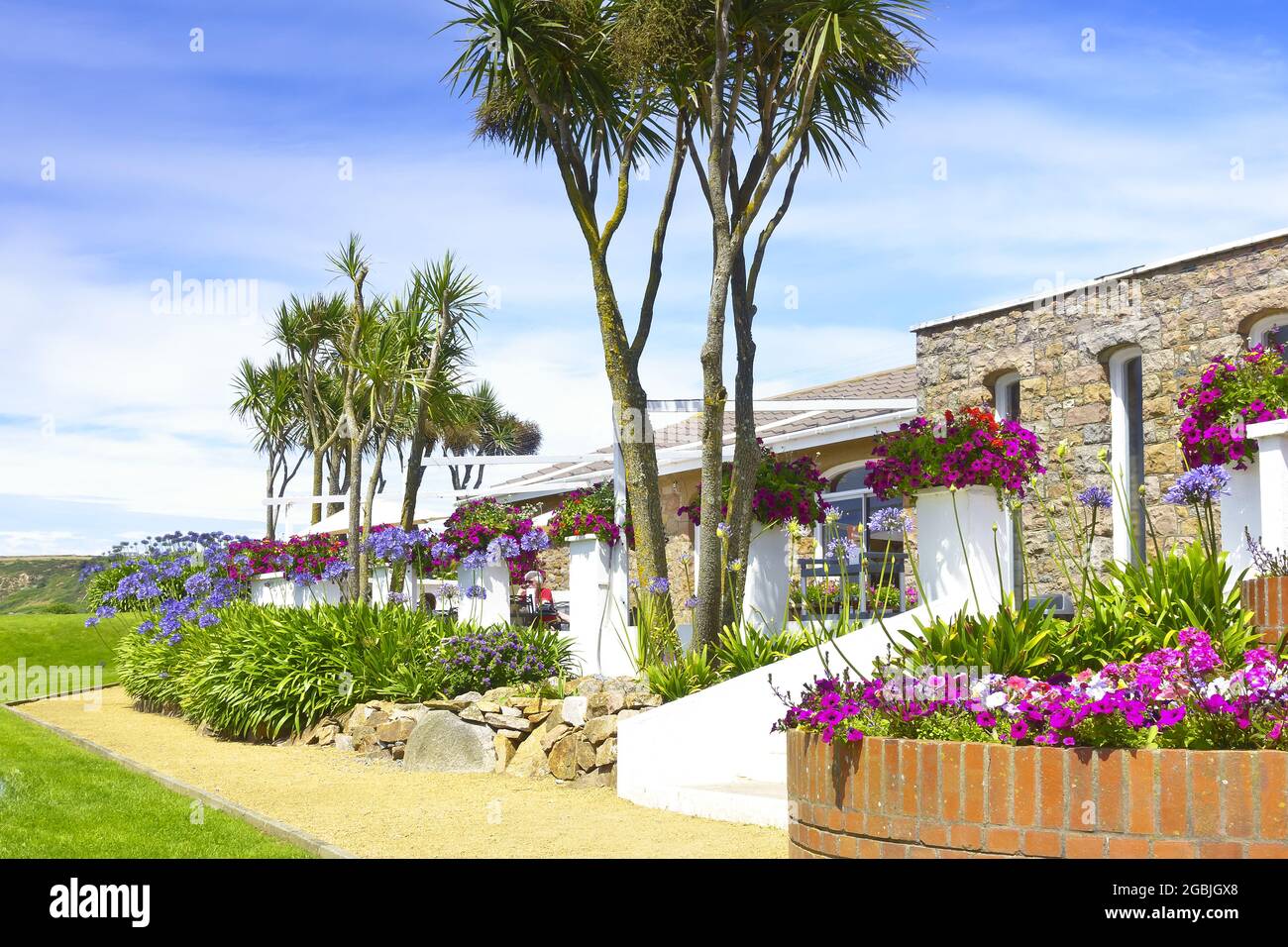 St Ouen, Jersey, Channel Islands, UK - July 7, 2016: subtropical vegetation  at the cafe terrace of the Jersey Pearl showroom on a sunny day in summer  Stock Photo - Alamy