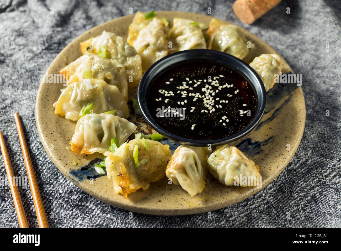 Homemade Pan Fried Chicken Wontons with Dipping Sauce Stock Photo Alamy