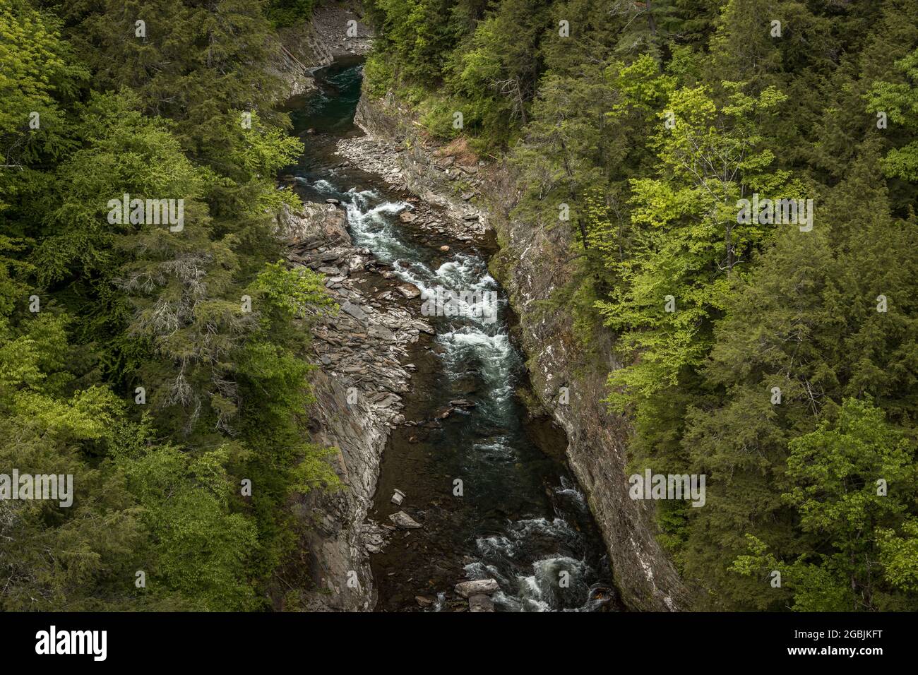 Beautiful view of the river flowing through the forest Stock Photo - Alamy