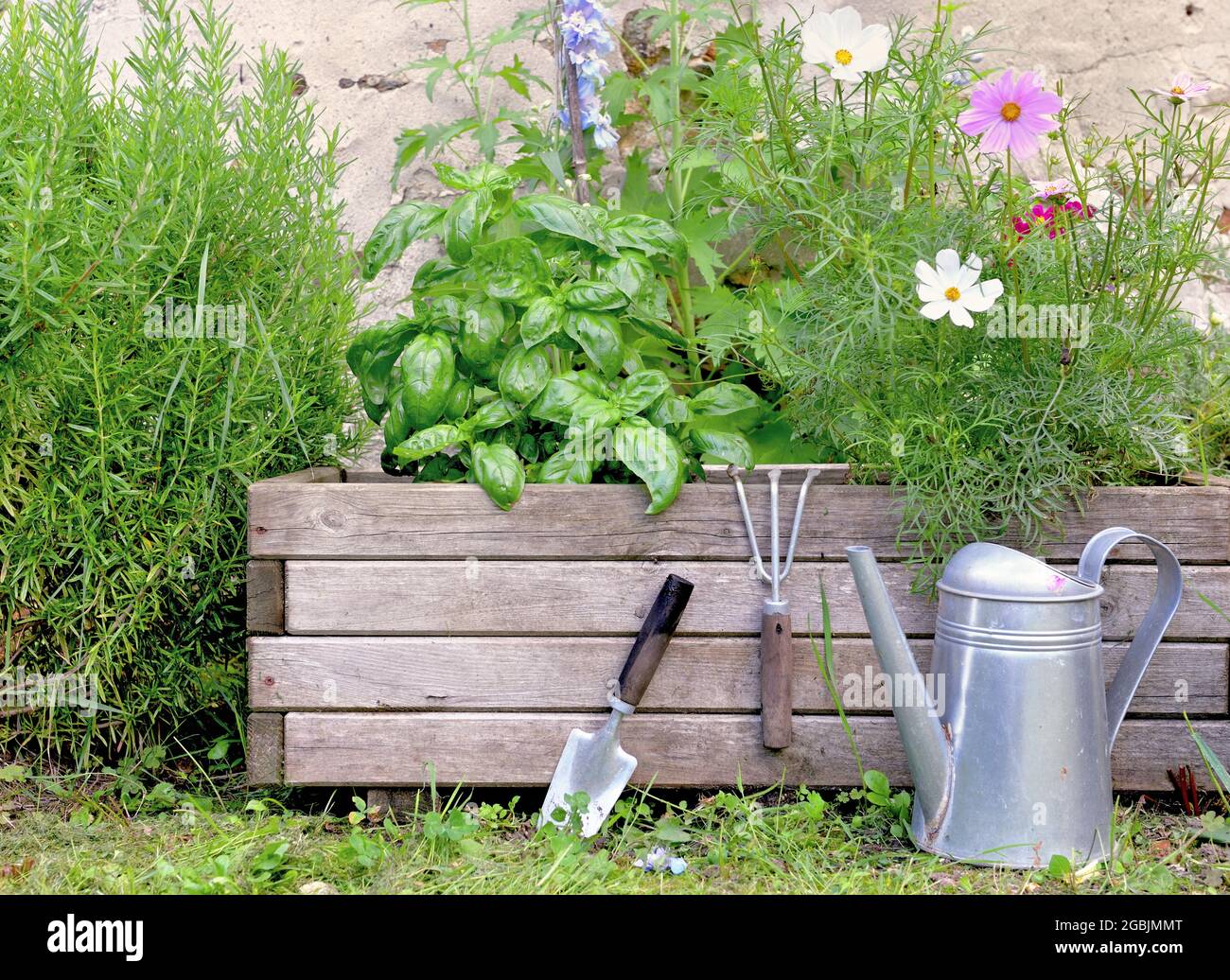 aromatic plant and and flowers in a wooden gardener with gardening tools Stock Photo