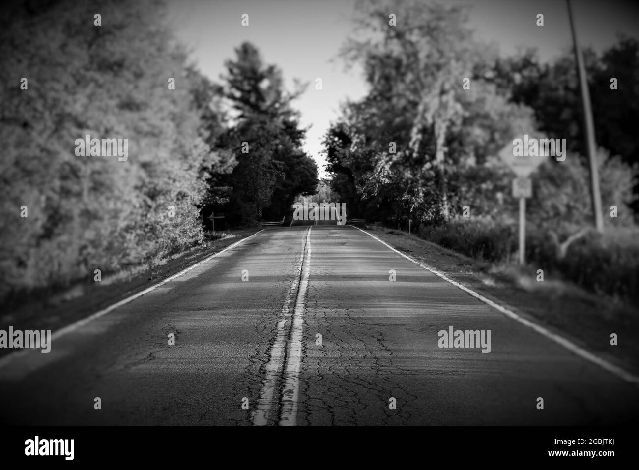 Black and white long road through the woods Stock Photo