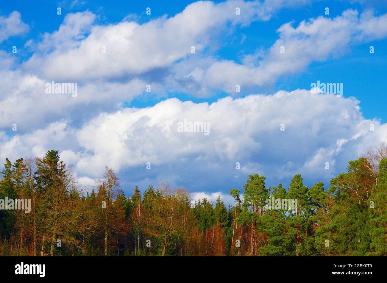 Clouds above a green forest Stock Photo - Alamy