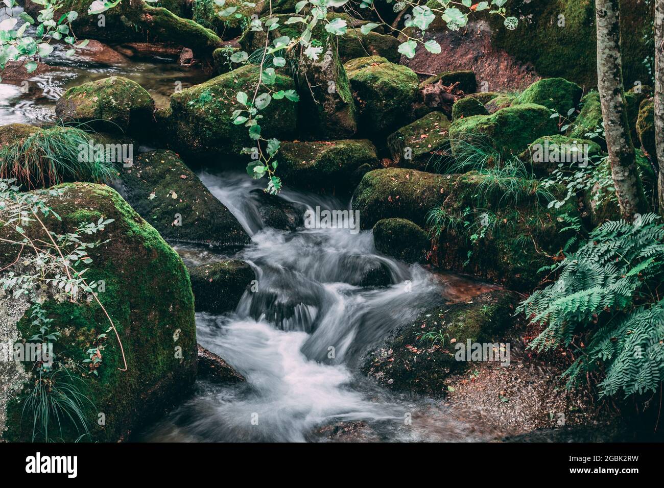 Water stream between rocks hi-res stock photography and images - Alamy