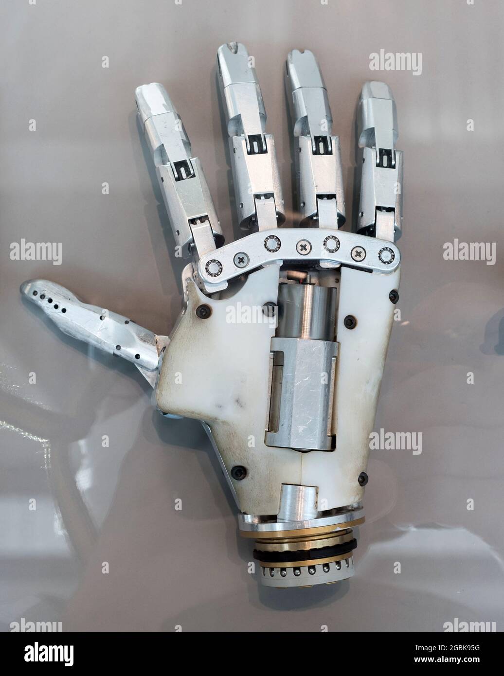 Detail of a human hand prosthesis with articulating joints for use as a replacement limb following amputation in a palm down view Stock Photo