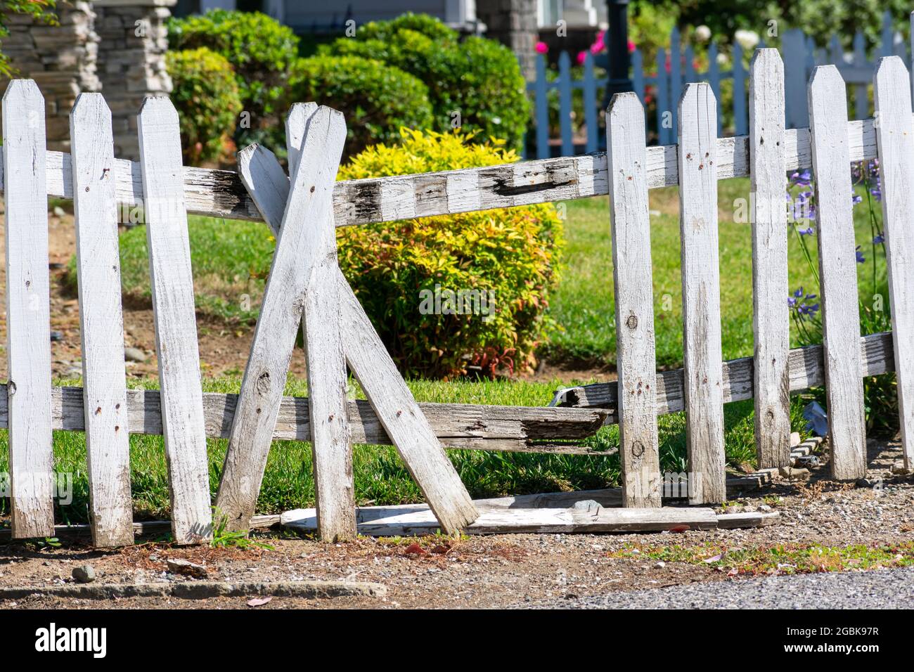 Broken fence. Damaged weathered white picket fence with broken rails