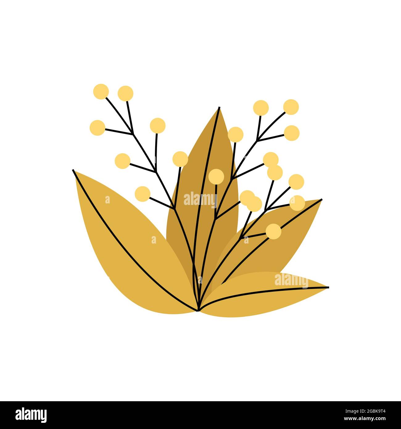Illustration of floral arrangement of branches with leaves and buds, Vector flat illustration. Isolated Stock Vector