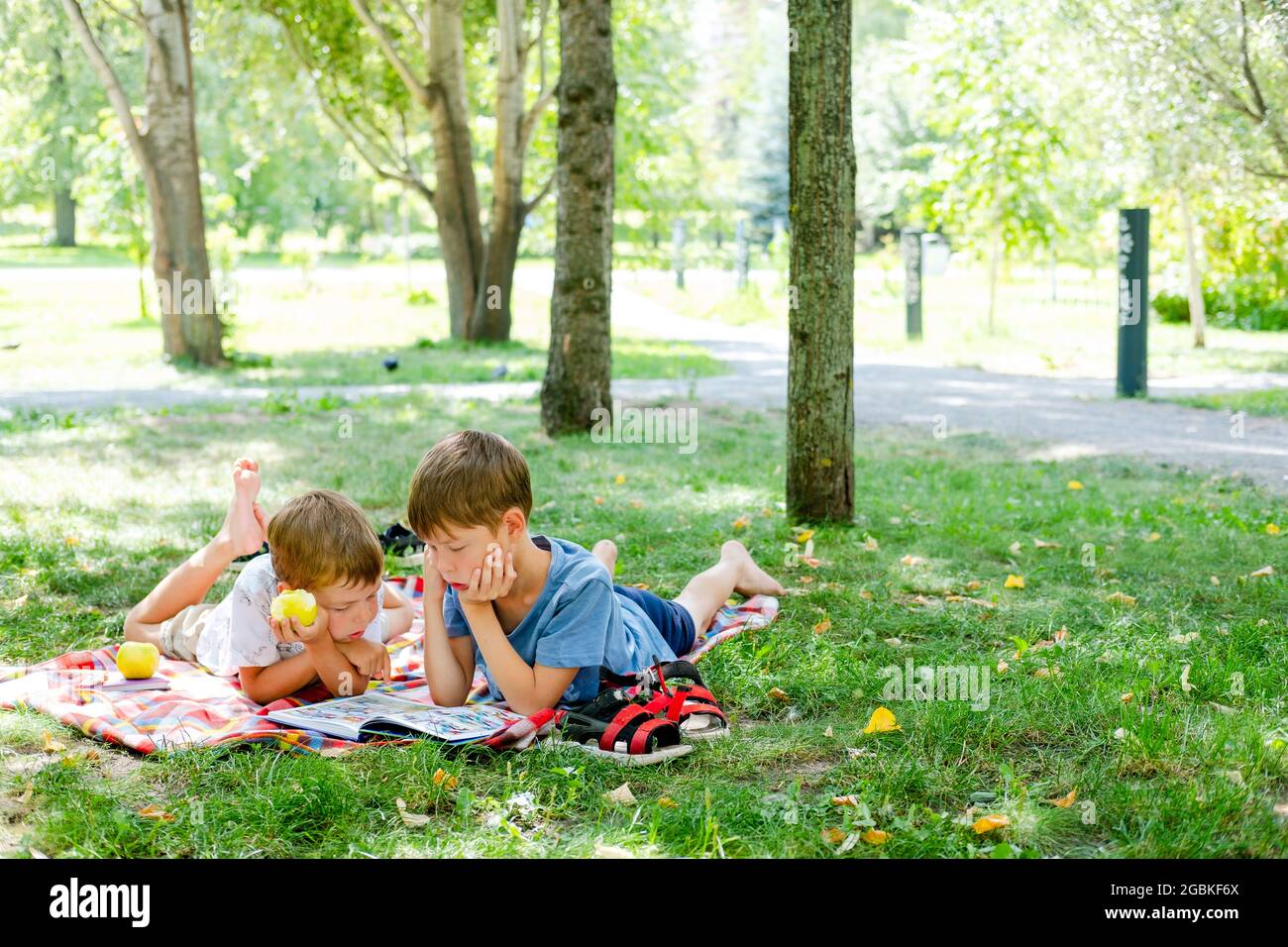 Two boys lie on a blanket in a green park. Children read a book lying on the ground, in the park. Children on a picnic in the summer, reading books. s Stock Photo