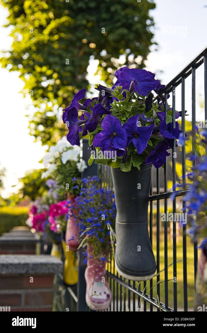 Flowers in rubber boots Stock Photo - Alamy