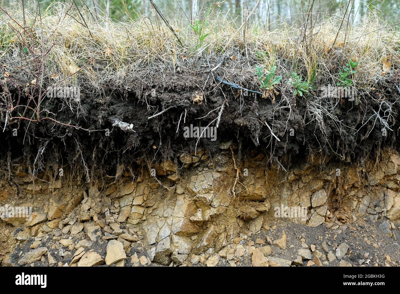 Clayey Stones Hi Res Stock Photography And Images Alamy