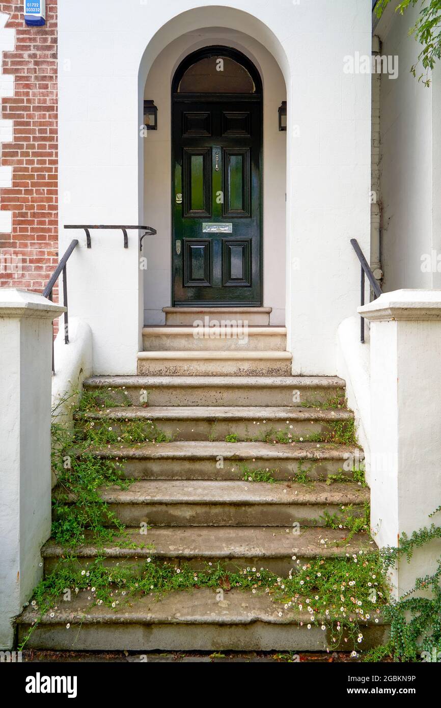 Weed covered steps leading to door Stock Photo
