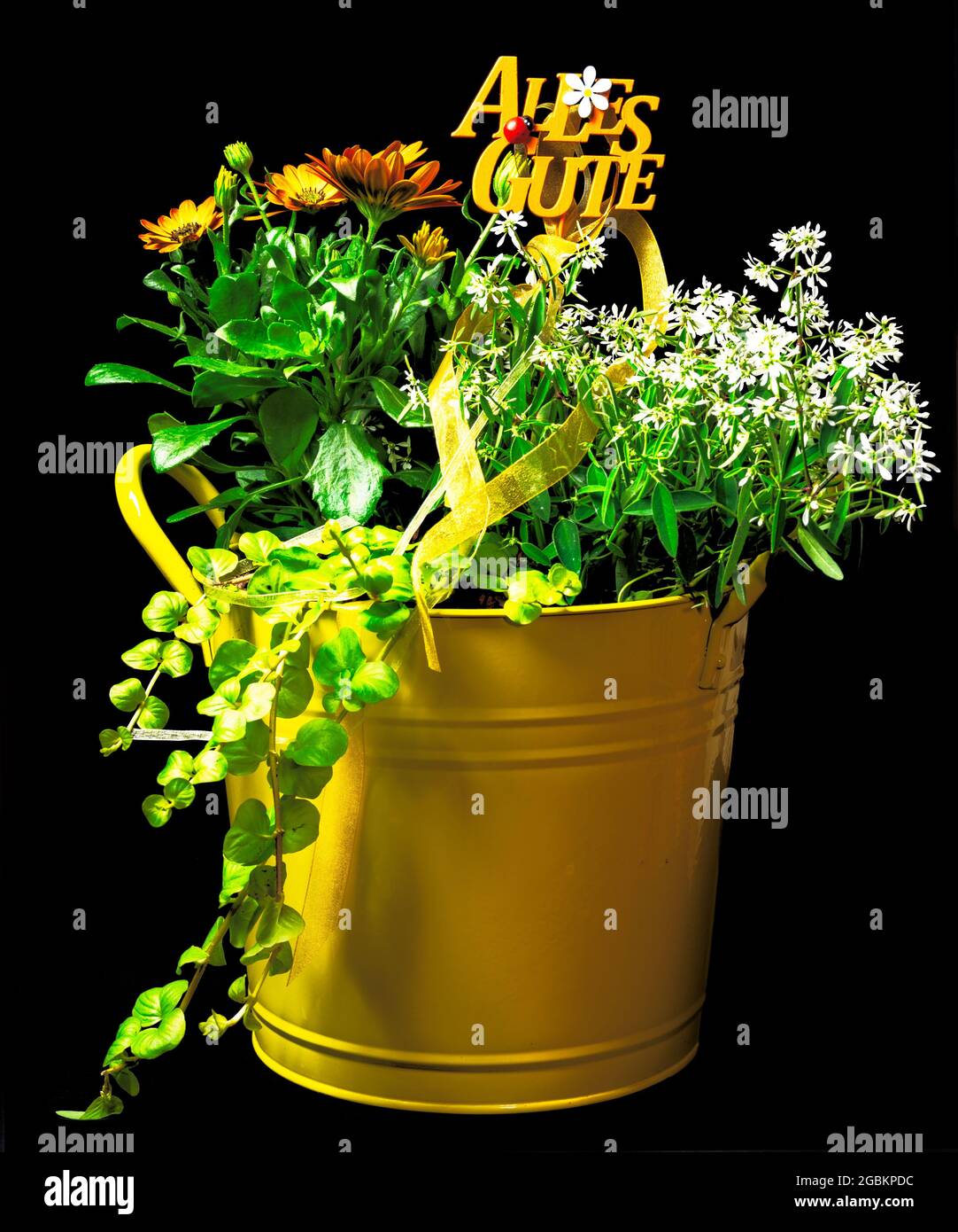 Present with flowers in a yellow bucket. German text:  Alles Gute, meaning all the best Stock Photo