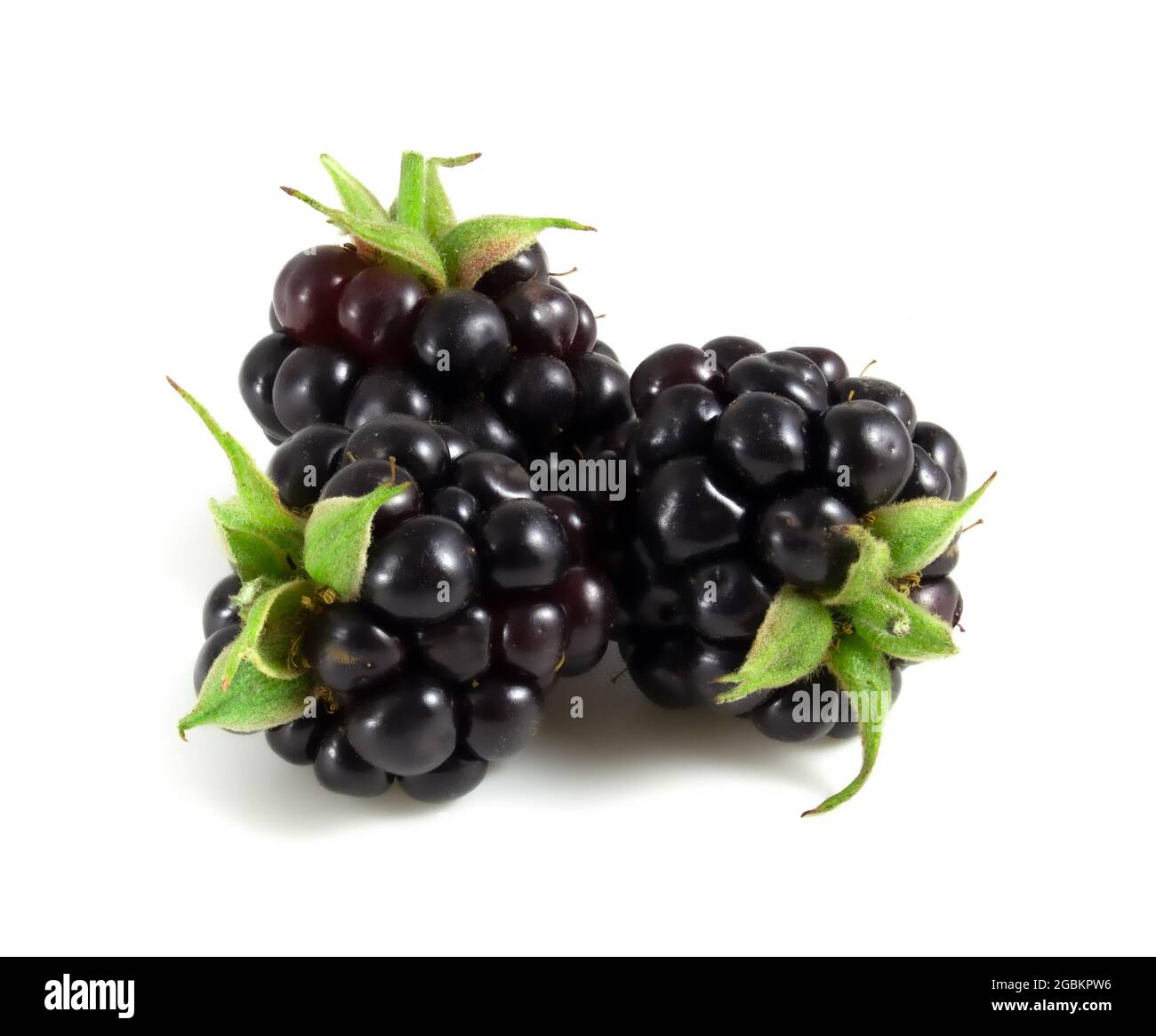 Fresh blackberries isolated on white background Stock Photo