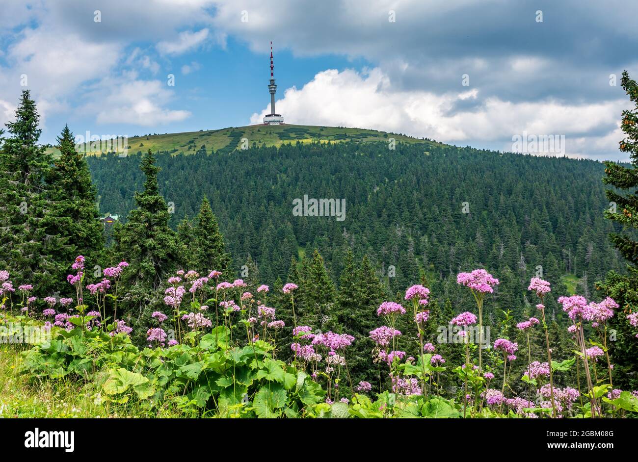 Summer view of Praděd, the fifth-highest mountain of Czech Republic, located in Hrubý Jeseník mountains Stock Photo