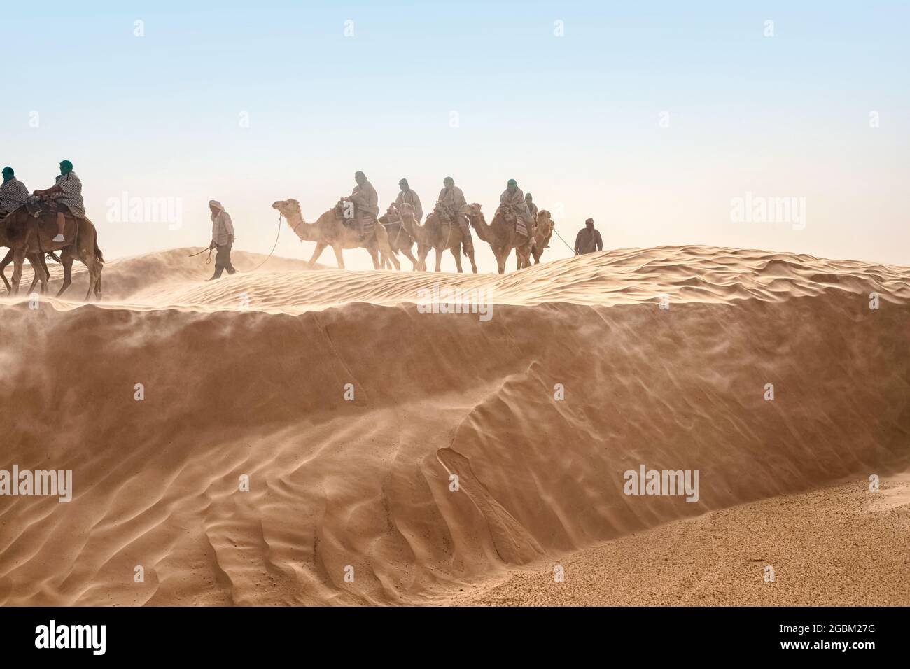 View of tourists who ride camels in the Sahara desert during strong winds Stock Photo