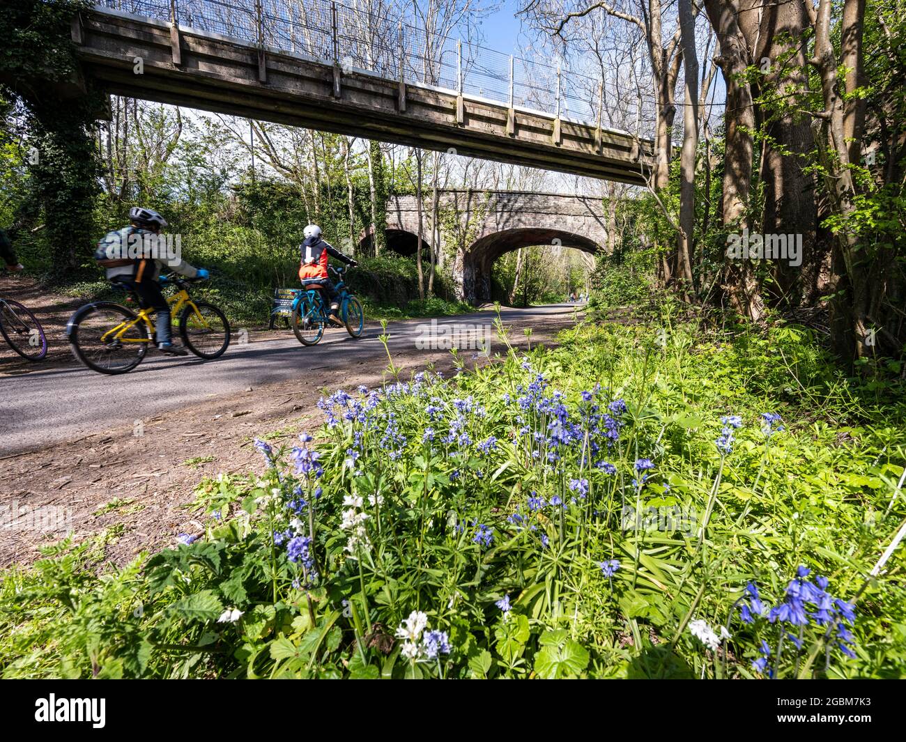 Bristol & Bath Railway Path - OnePath - View #7