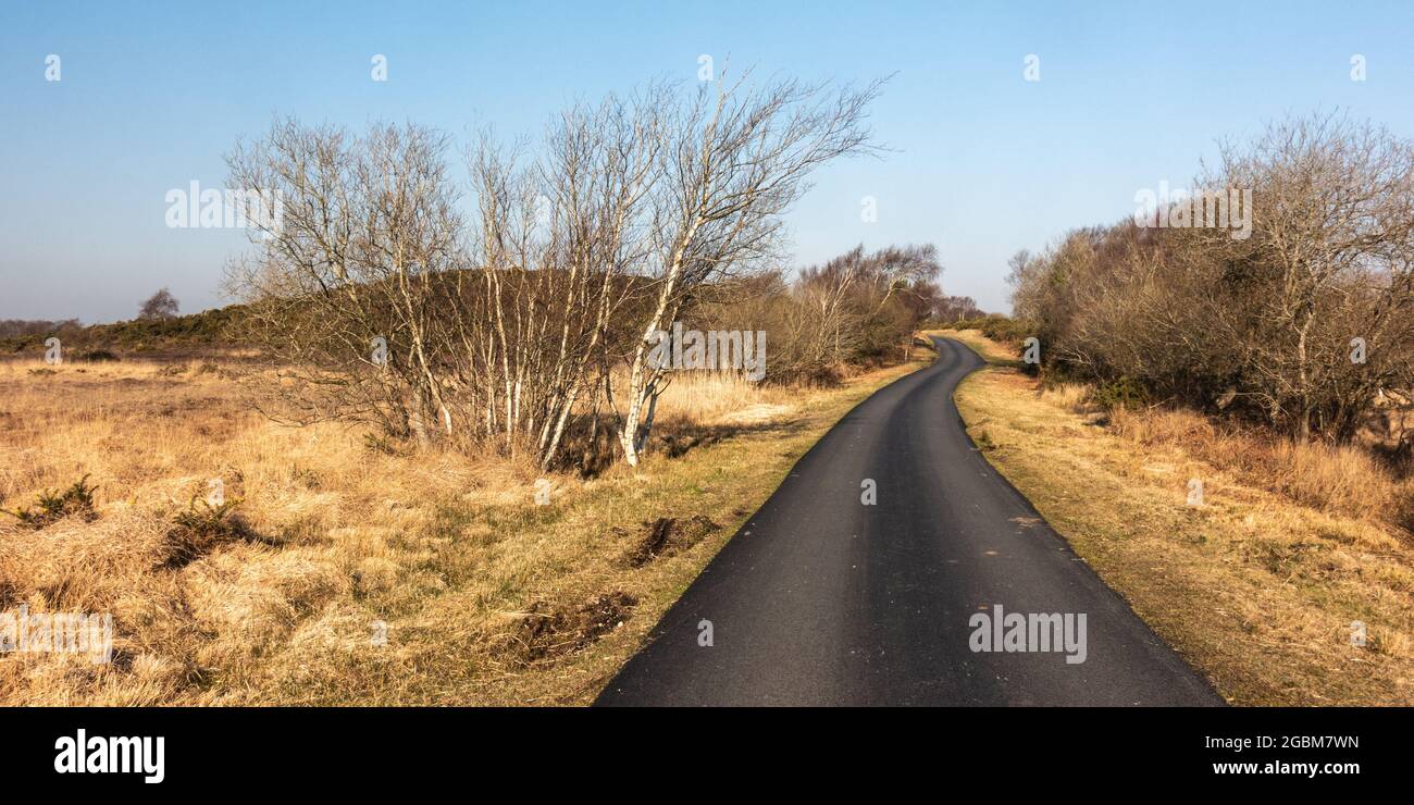 A freshly surfaced country lane winds across heathland at Winfrith Newburgh Nature Reserve in Dorset's Isle of Purbeck. Stock Photo