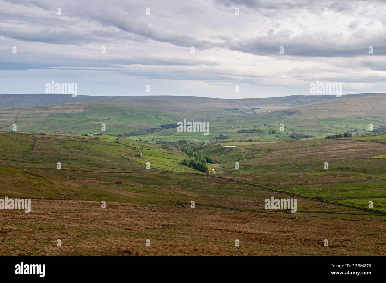Sheep graze above Weardale valley in the moorland landscape of England's North Pennines hills. Stock Photo