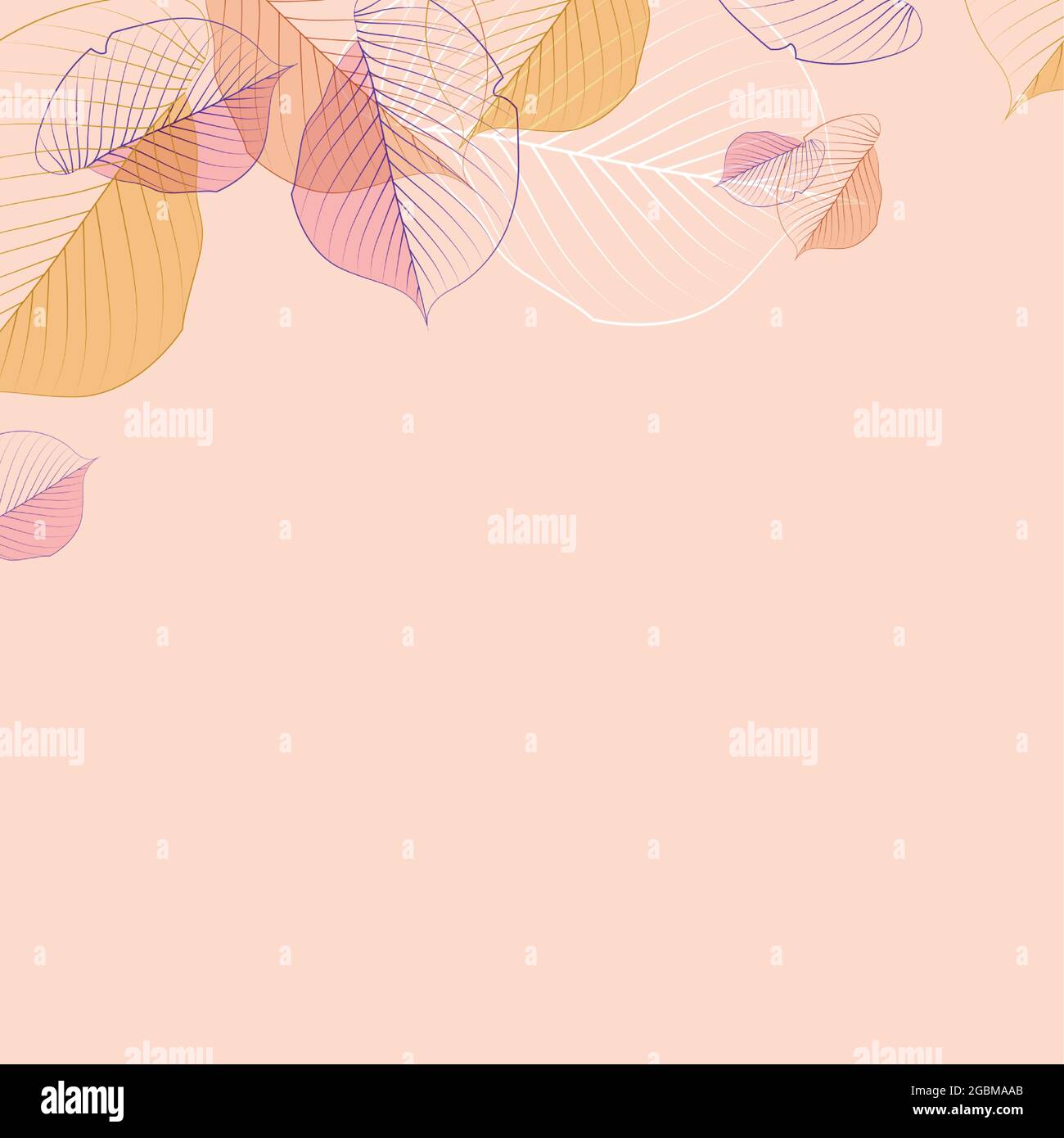Realistic autumn leaves on a light background - Vector illustration ...