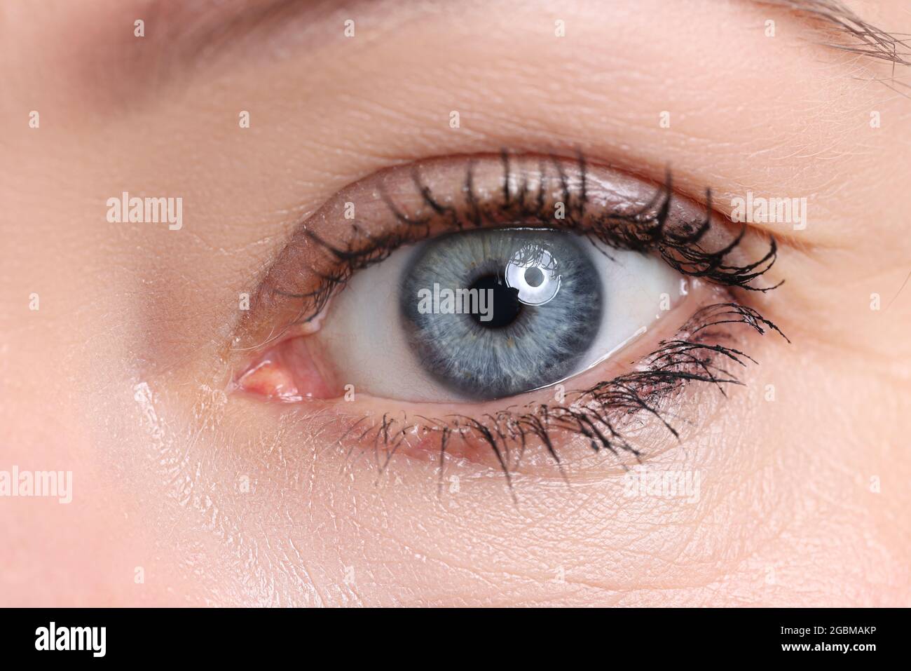 Beautiful blue female eye looking in camera Stock Photo