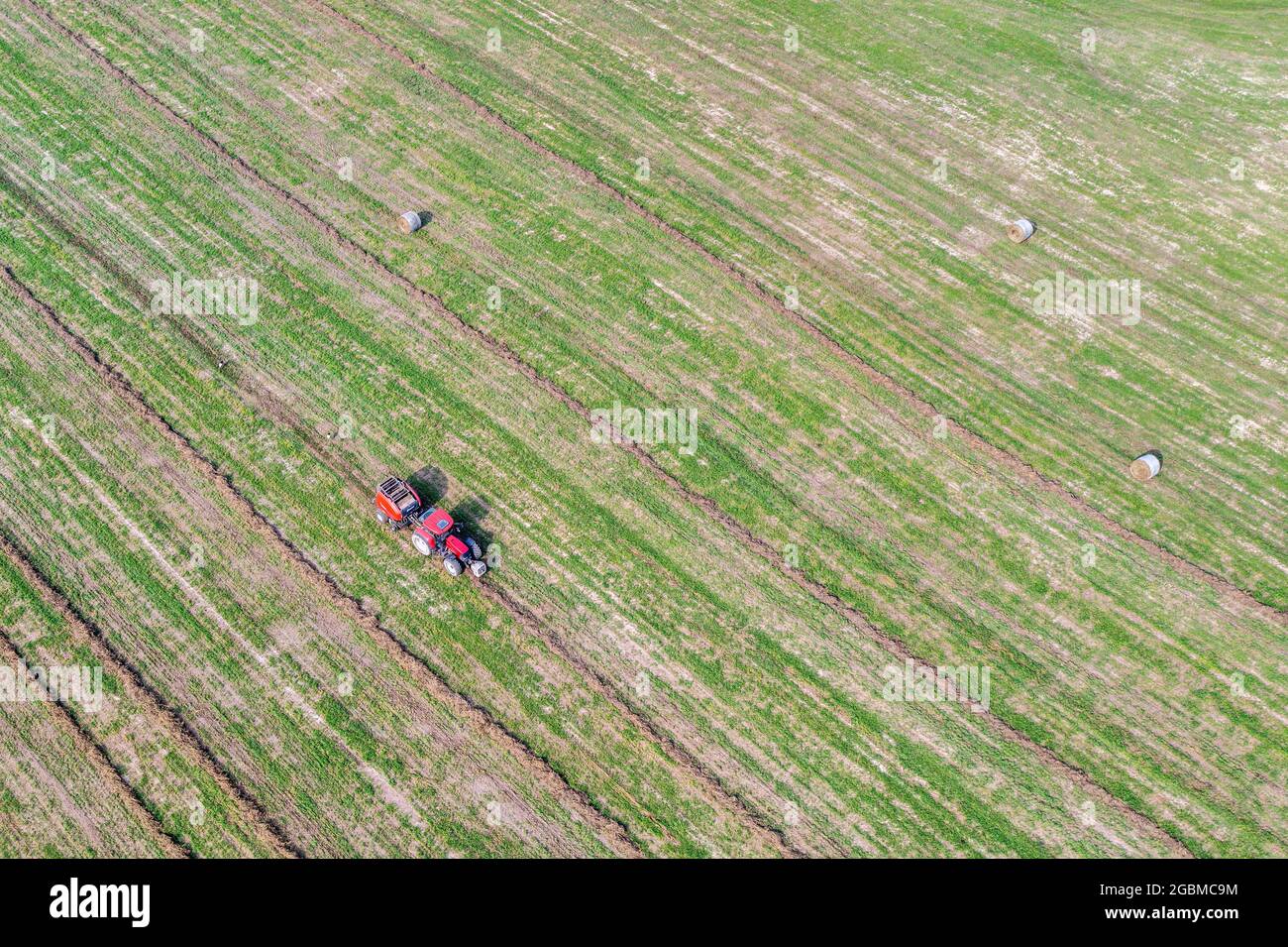 Round baler at work, making straw bales from dry grass, aerial view of agricultural machinery at work Stock Photo