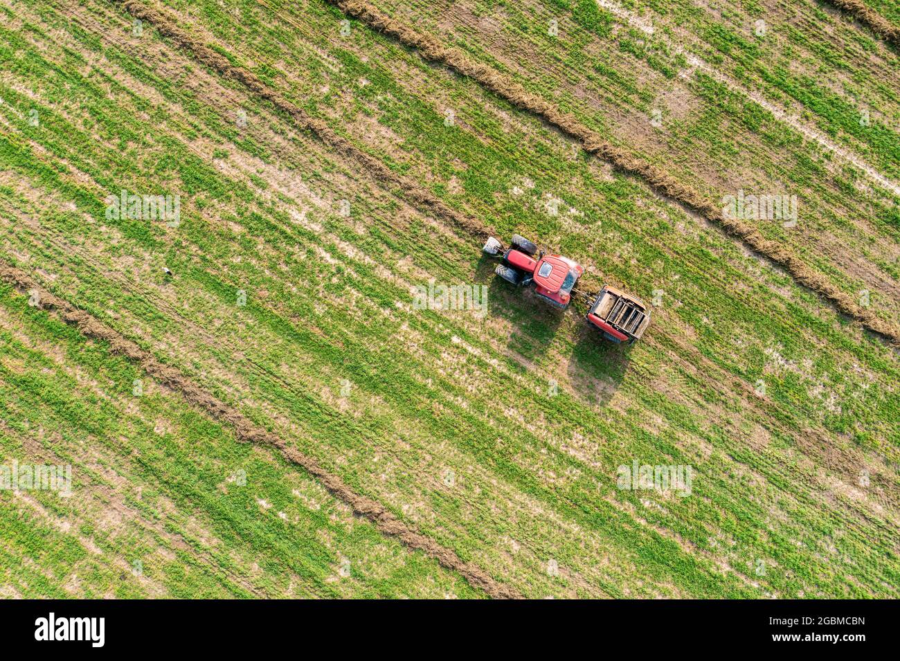 Round baler at work, making straw bales from dry grass, aerial view of agricultural machinery at work Stock Photo