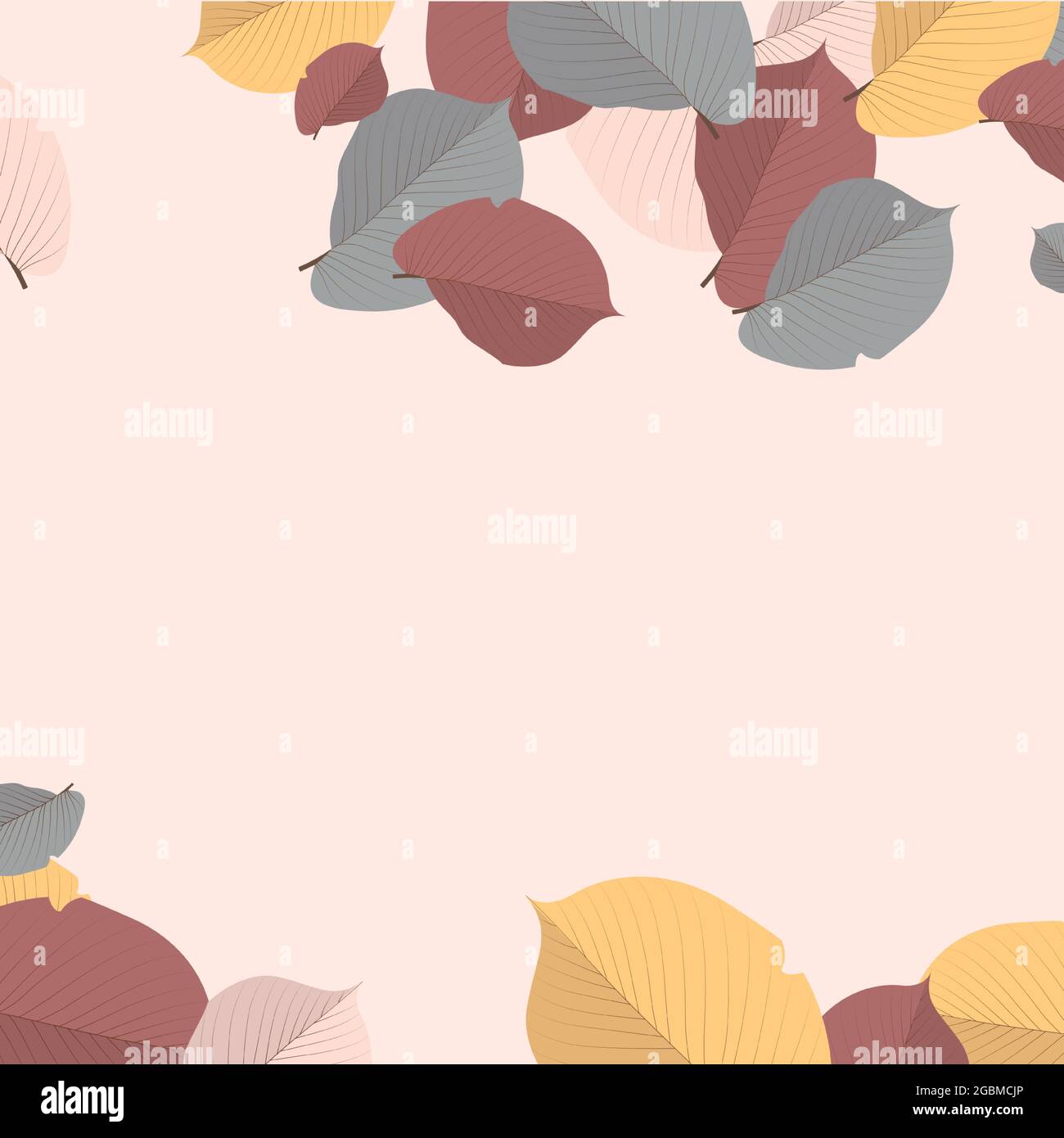 Realistic autumn leaves on a light background - Vector illustration ...