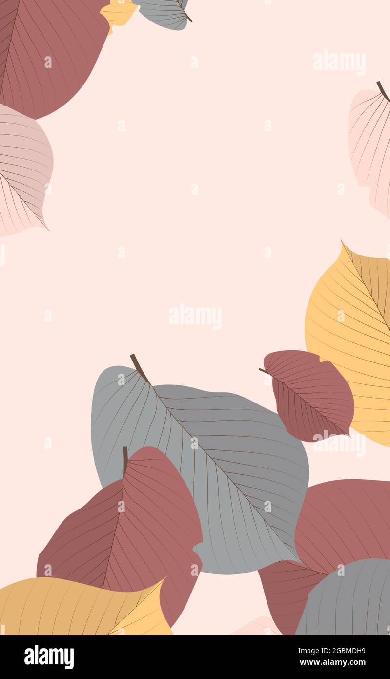 Realistic autumn leaves on a light background - Vector illustration ...