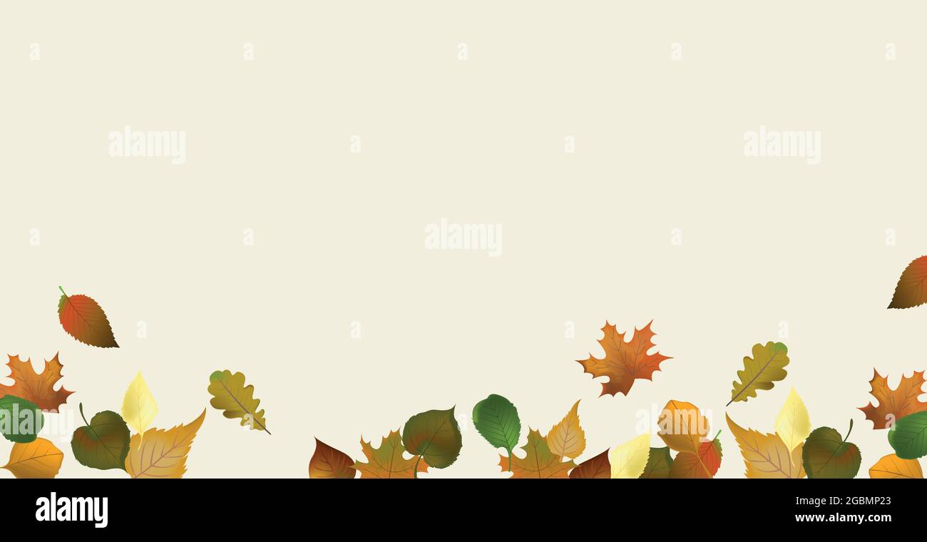 Realistic autumn leaves on a light background - Vector illustration ...