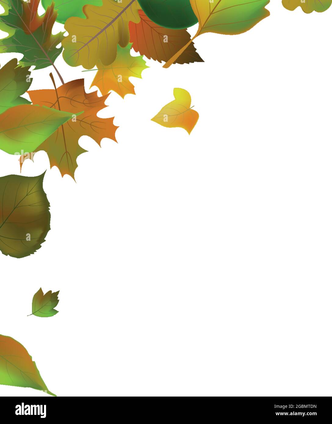 Realistic autumn leaves on a light background - Vector illustration ...