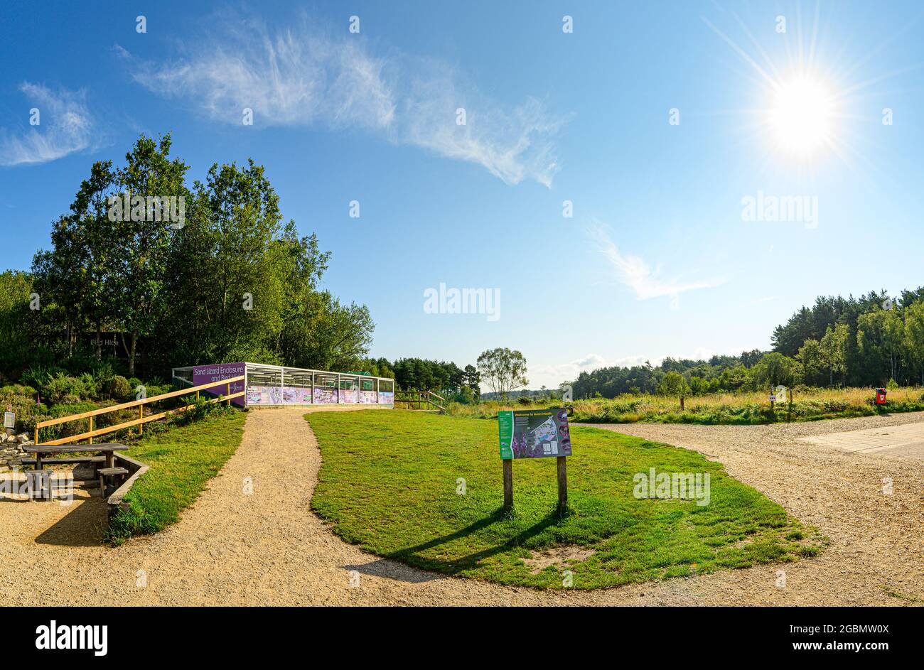 Panorama with Sand lizard enclosure information map of Avon Heath Country Park and sunburst on a summers morning with light cloud. Stock Photo