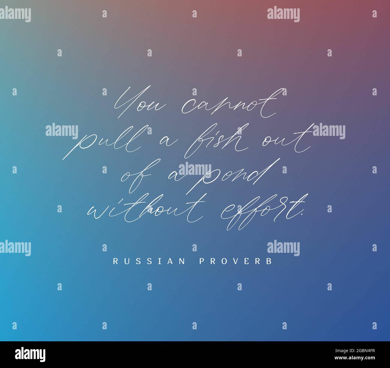 Inspirational motivation quote You cannot pull a fish out of a pond