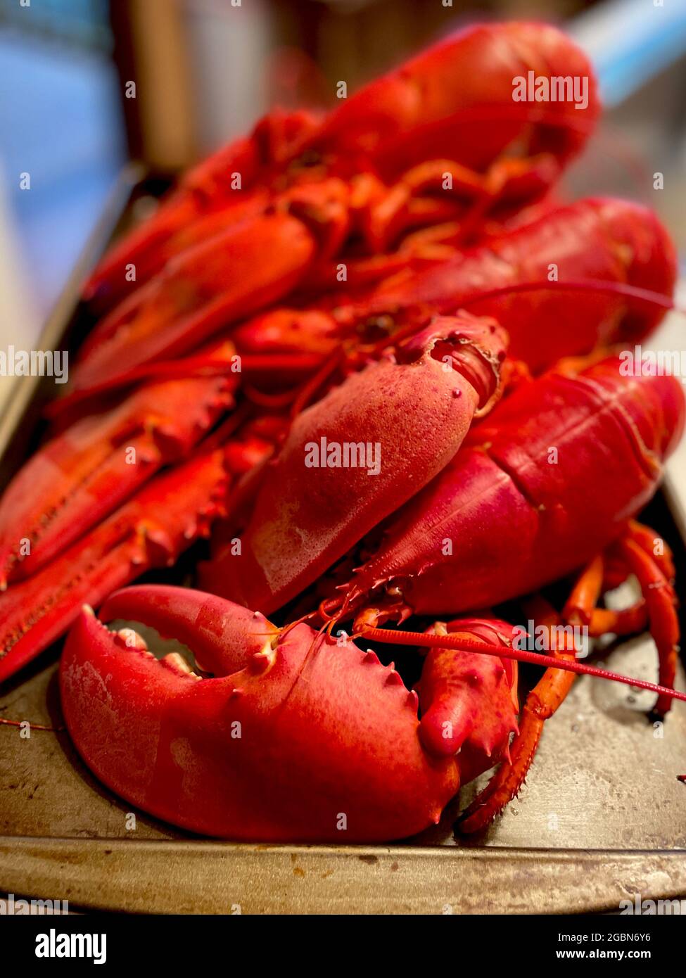 Maine Lobster Boil Stock Photo Alamy