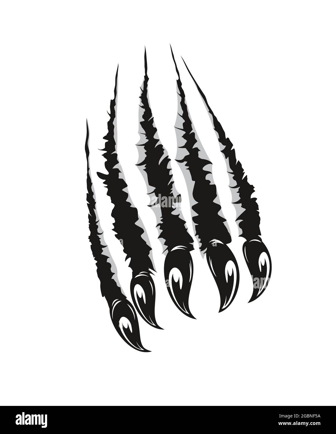 Claw Marks Svg, Claw Scratches Clipart, Animal Claws Png, Animal ...