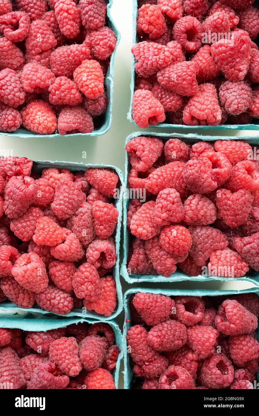 Fresh raspberries in blue containers Stock Photo Alamy