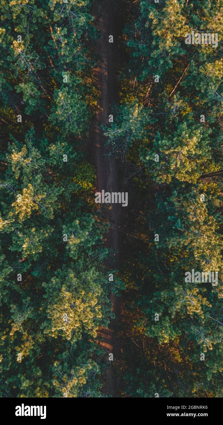 Vertical aerial view of a road surrounded by trees Stock Photo - Alamy