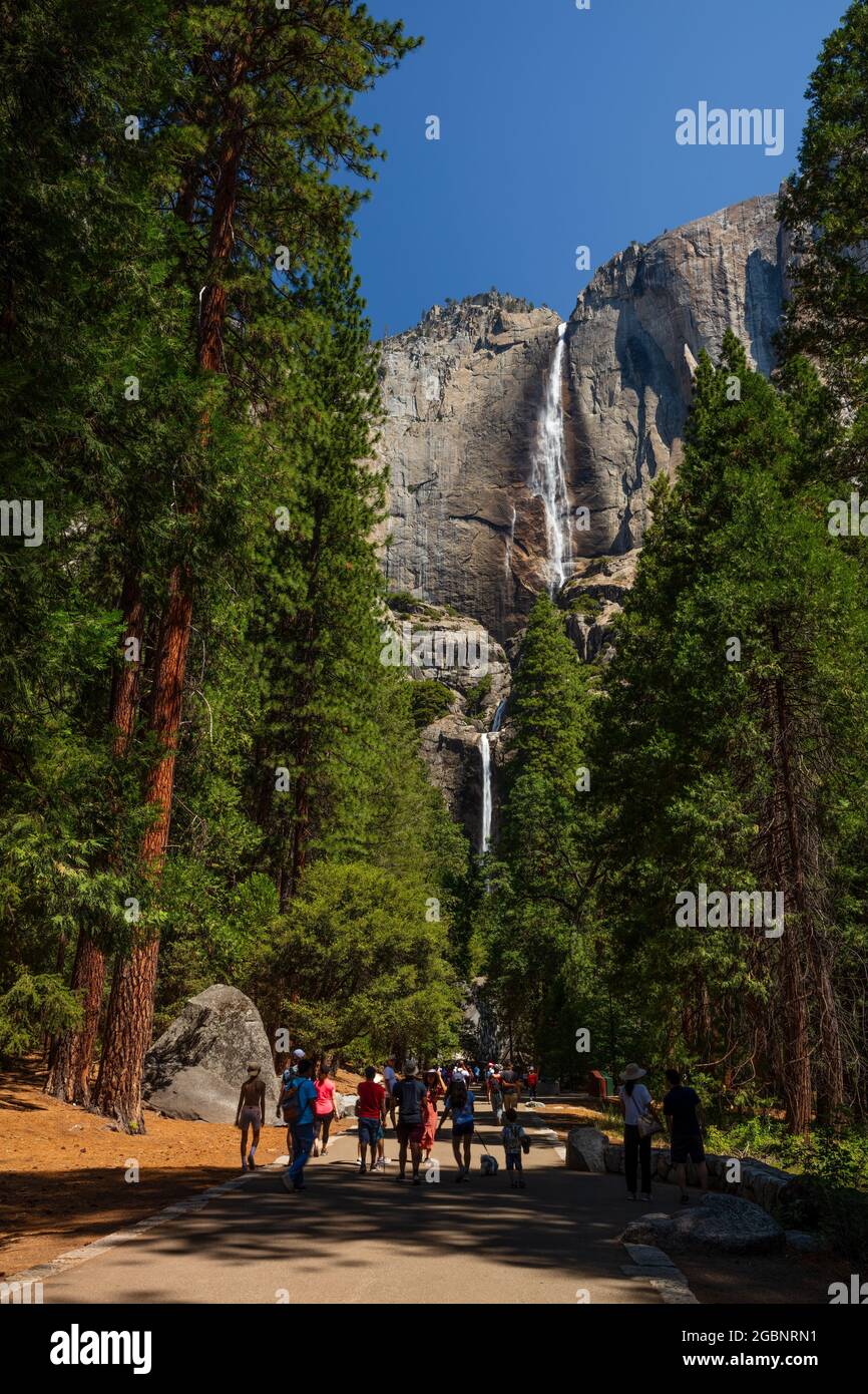 Upper and Lower Yosemite Falls as seen from Lower Yosemite Fall Trail, Yosemite National Park, California Stock Photo