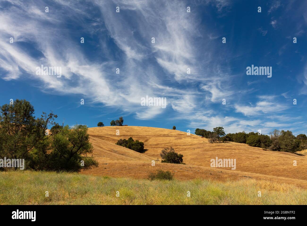 Dramatic wispy clouds over the golden hills near Sutter Creek, California Stock Photo