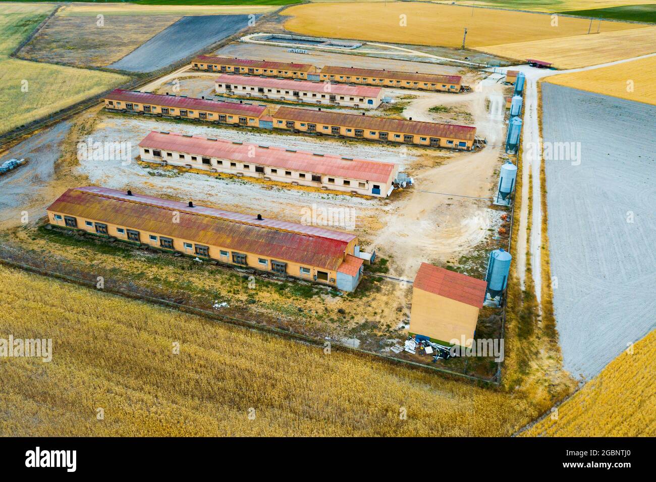 Aerial view of modern pig farm Stock Photo Alamy