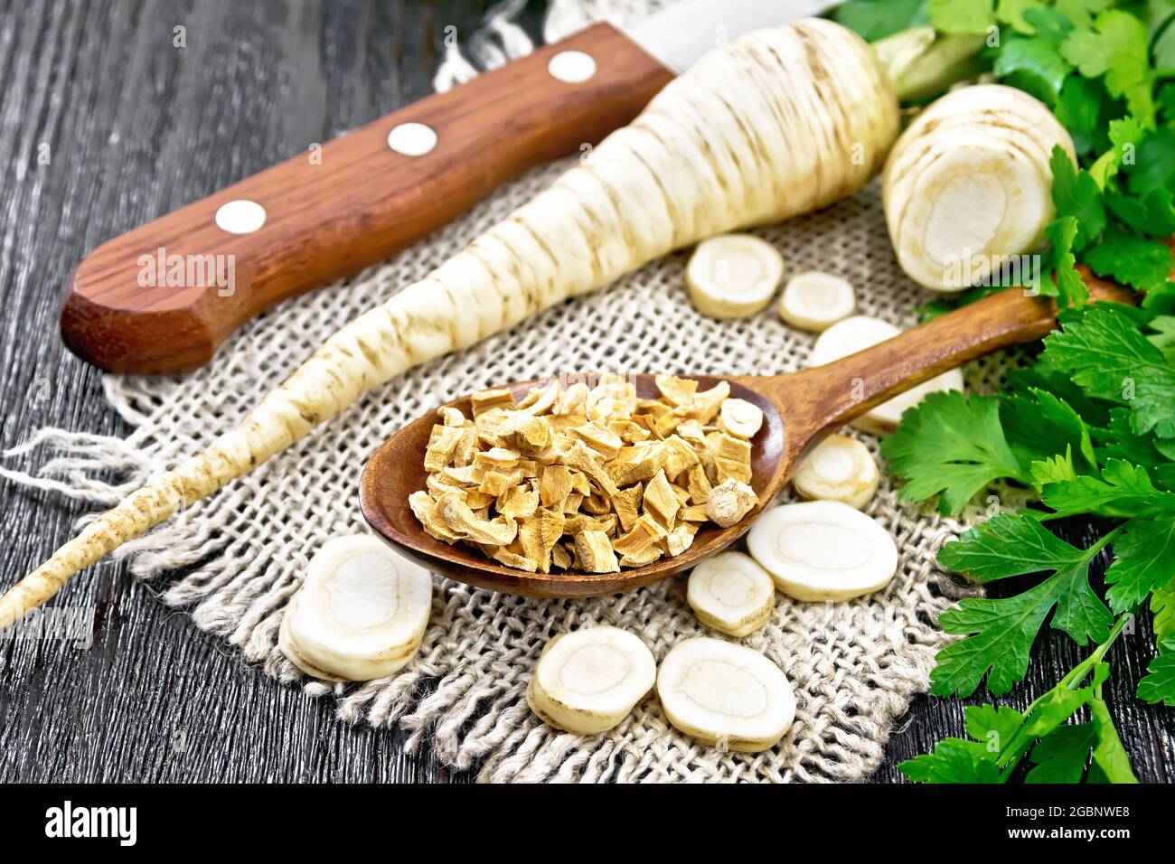 Fresh whole and chopped parsley roots with green tops, dried root in a spoon on burlap napkin, a knife on dark wooden board background Stock Photo