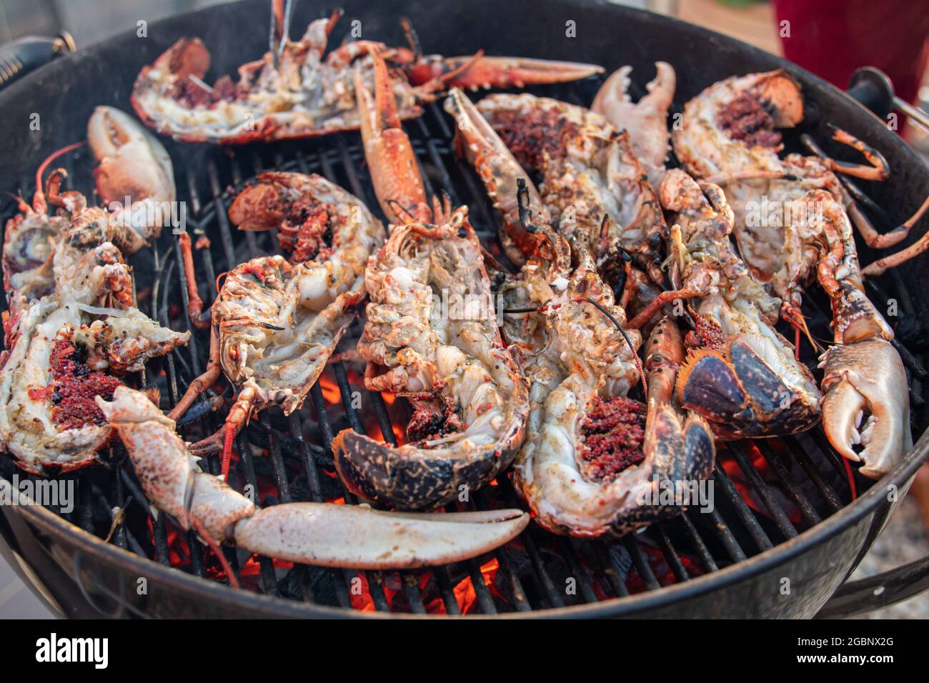 A close up of Lobsters on Barbecue, seafood grilling over the hot coals
