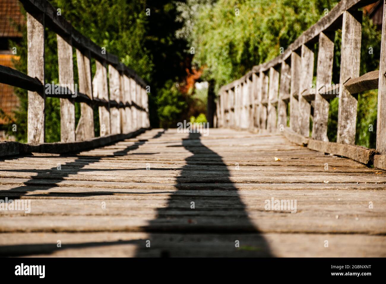 Old wooden bridge over a river Stock Photo - Alamy