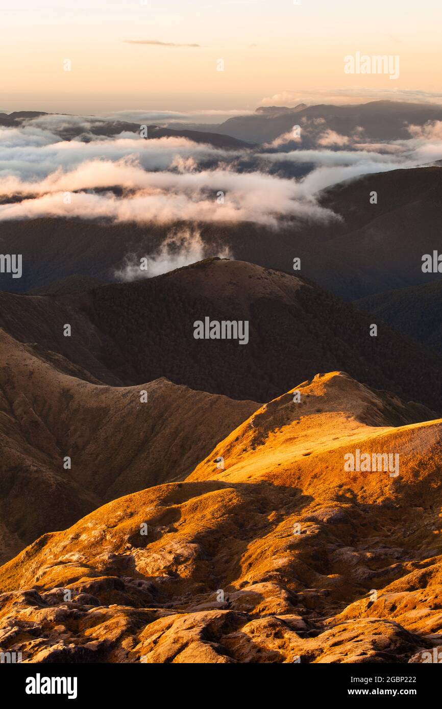 Karst landscape on the northern slopes of Mt Arthur. Kahurangi National Park, New Zealand Stock Photo