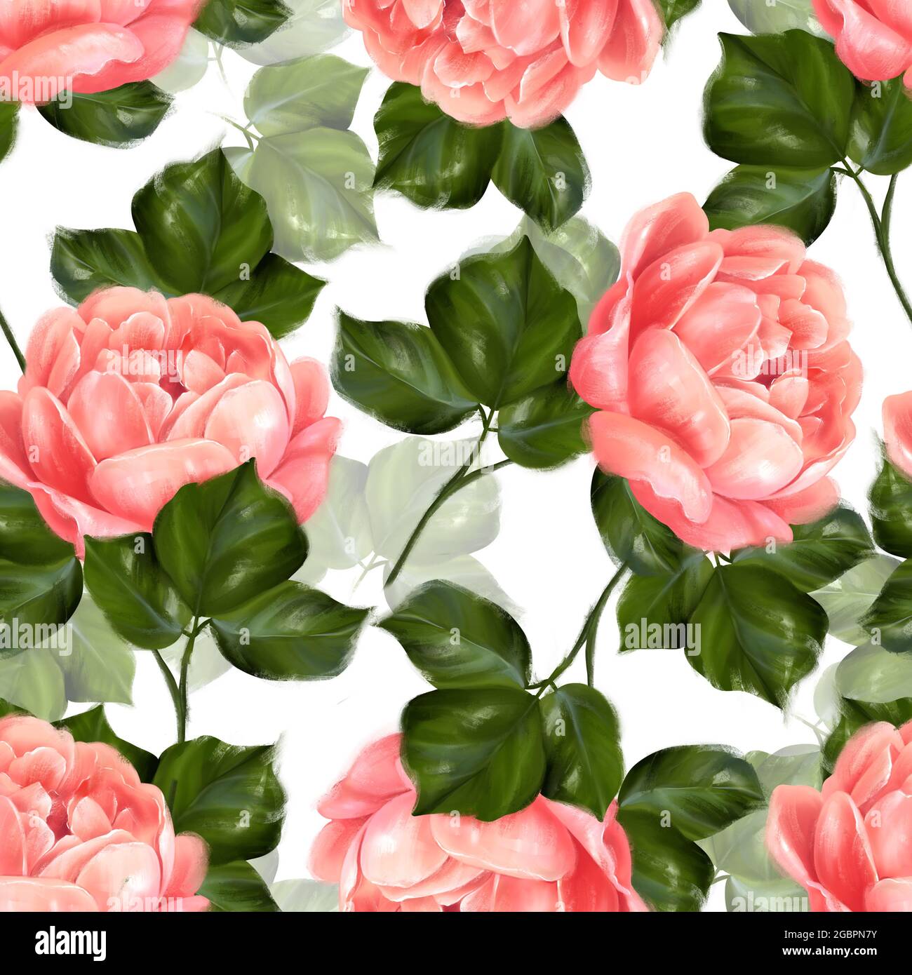 Seamless floral pattern of pink roses on white background Stock Photo ...